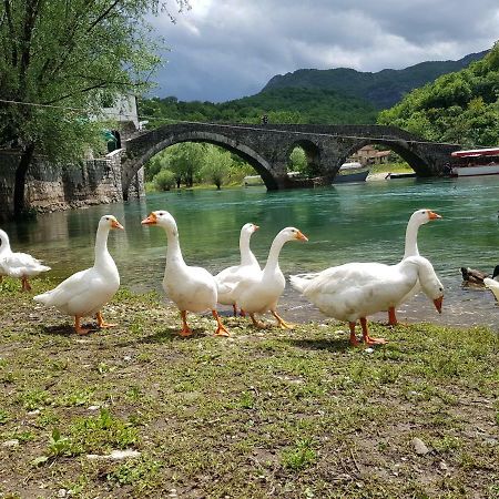 Apartman Jovicevic Pavle Rijeka Crnojevica Bagian luar foto